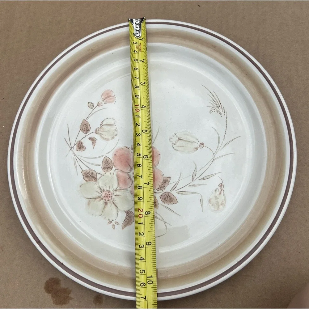 Hearthside Water‎ Colors Blush Dinner Plate 10